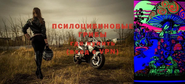не бодяженный Ладушкин