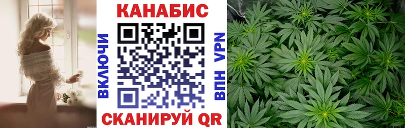 блэк спрут как войти  Удачный  Бошки марихуана сатива 